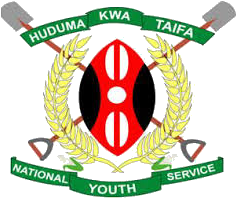 NYS Logo